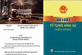 Điều 60 Bộ Luật Tố Tụng Hình Sự Năm 2015