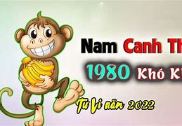 Tử Vi Tuổi Canh Thân Nam Mạng 1980 Năm 2025