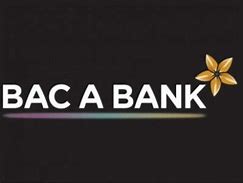 Ý Nghĩa Logo Bắc Á Bank